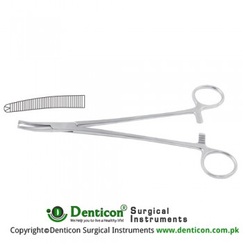 Faure Peritoneum Forcep Curved - 1 x 2 Teeth Stainless Steel, 21 cm - 8 1/4"